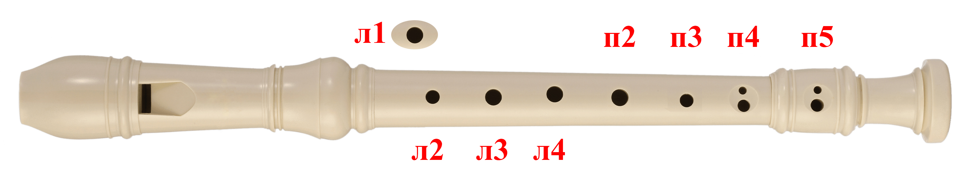 Пальцы на блокфлейте